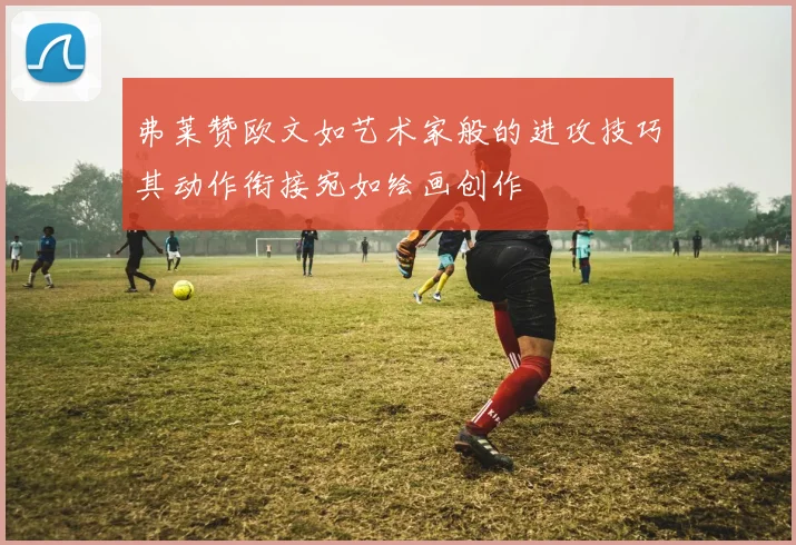弗莱赞欧文如艺术家般的进攻技巧其动作衔接宛如绘画创作